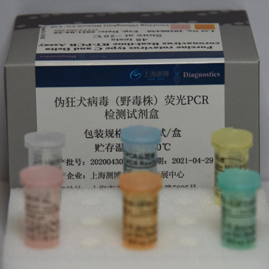 伪狂犬病毒（野毒株）荧光PCR检测试剂盒操作流程